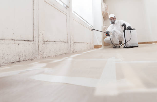 24/7 Emergency Mold Inspection experts in New Park, PA